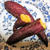 Oisix　のシルクスイートで焼き芋