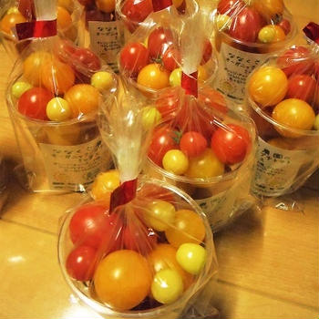 ミニトマトの販売　Cherry Tomatoes for Sale