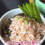 〜ちっちゃい幸せ山盛り〜釜揚げ小えび丼