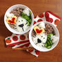 簡単朝ごはん！夏のさっぱり♪梅そぼろ丼で「ライオン丼」