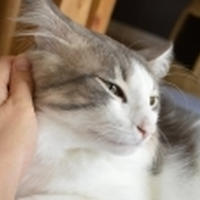 移転しました