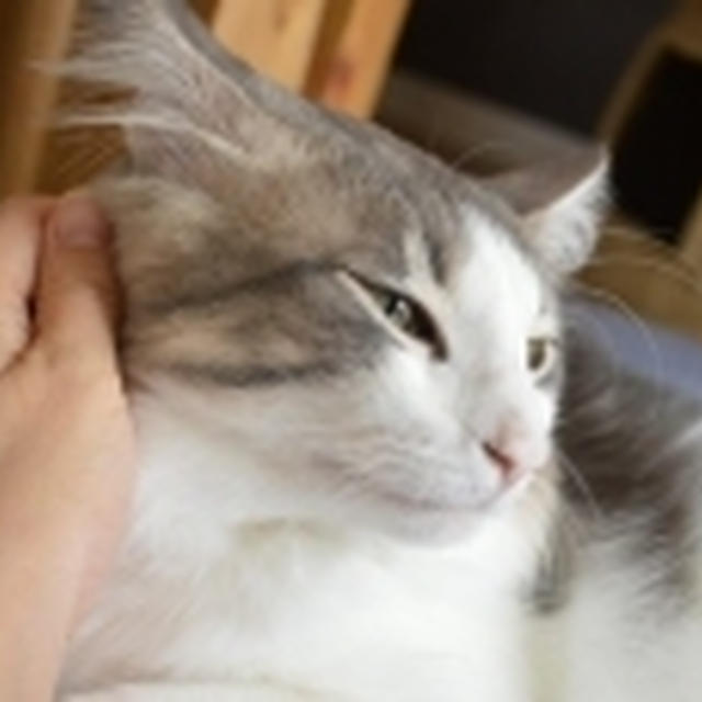 移転しました