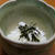 レシピ　山の芋のわさび和え