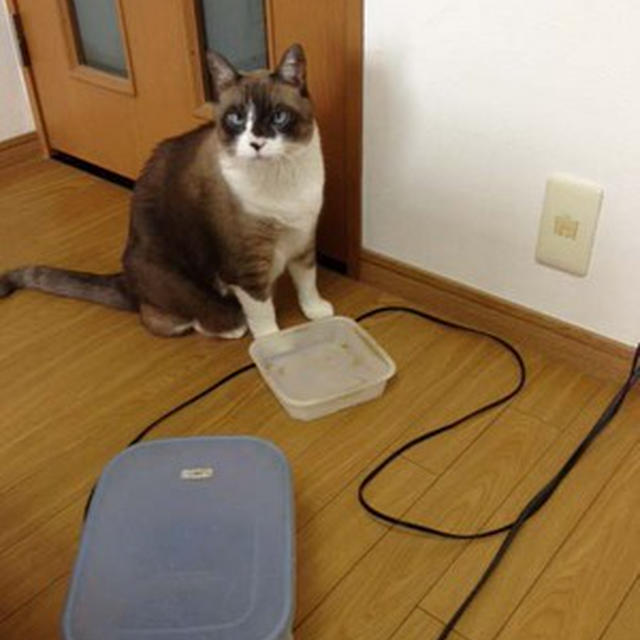 ランチタイムに固執