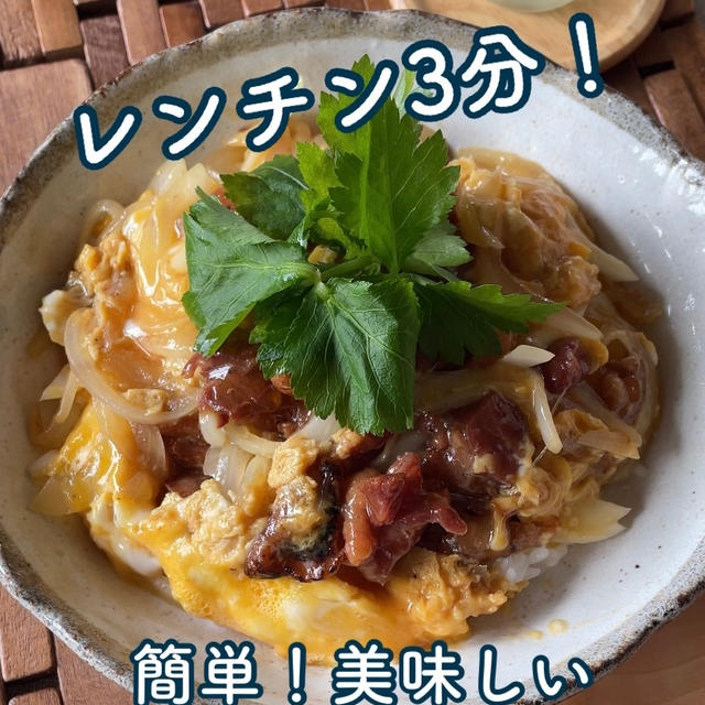 【レンチンレシピ】KALDI SALE購入品と本気ーーとオススメ！時短簡単親子丼