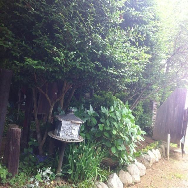 ハート模様