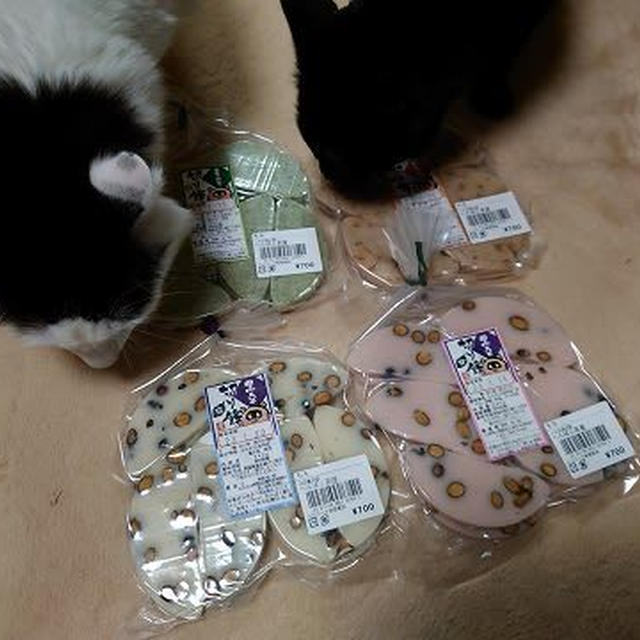 猫へのお土産がない…