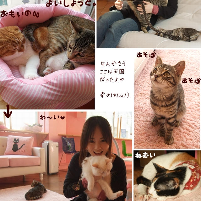 ■癒しの女子部屋へようこそヽ(o･∀･)ﾉ｡ﾟ■