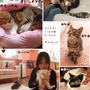 ■癒しの女子部屋へようこそヽ(o･∀･)ﾉ｡ﾟ■