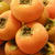 Persimmon