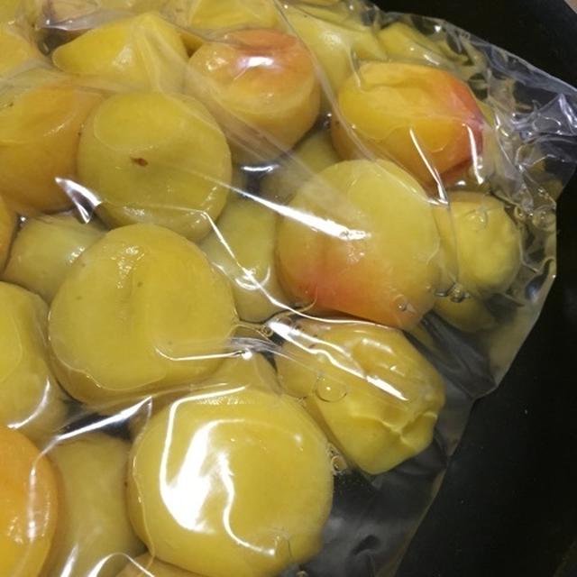 梅しごと〈途中経過〉「梅酢が上がってきた！！」