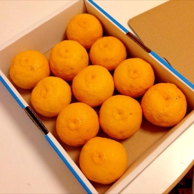 柚子、初めての箱買い♪