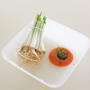 【食費節約】秋はリボベジにチャレンジしやすい季節。