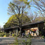 日曜日 公園でお洒落ランチ
