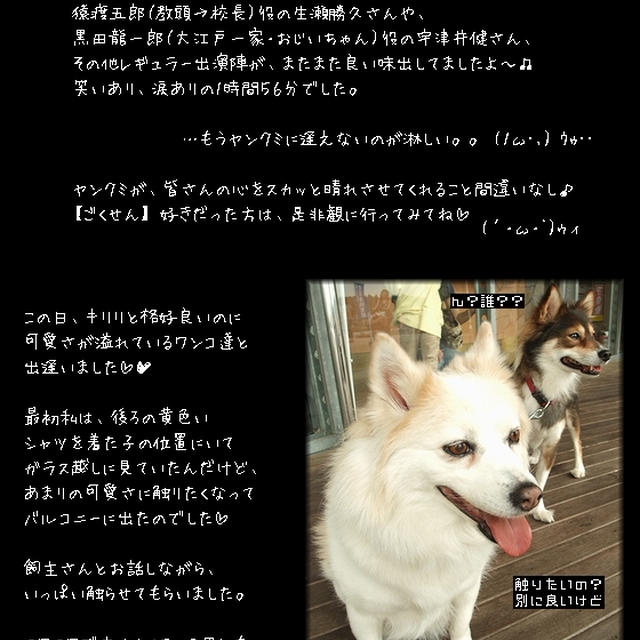 映画■ごくせん THE MOVIE■元気いっぱい〜(((ﾉﾟДﾟ)ﾉ