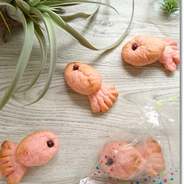 アタチの金魚パン！食べちゃダメ！！と姫、呑兵衛決定の証拠写真！？(笑)