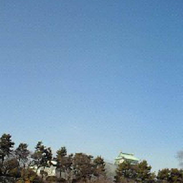 城を見たいと！久しぶりの名古屋城へ