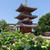 あじさい寺へ