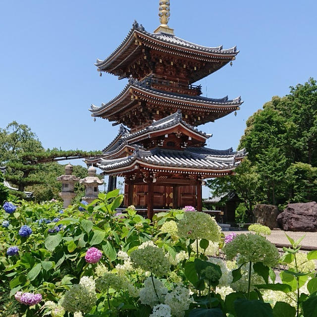 あじさい寺へ
