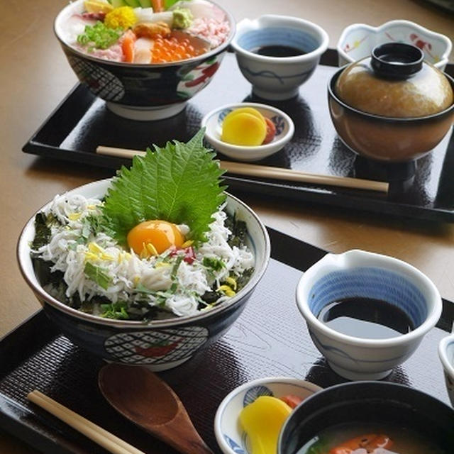 山陰・日本海の新鮮しらす月見丼。