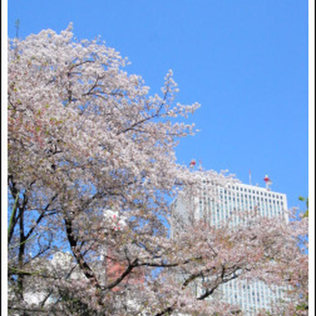 こんな景色が手に入る