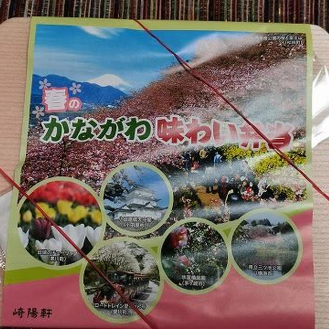 崎陽軒のお弁当は既に春でした！