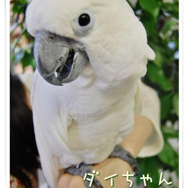 バイオパークのステキな動物たち♪