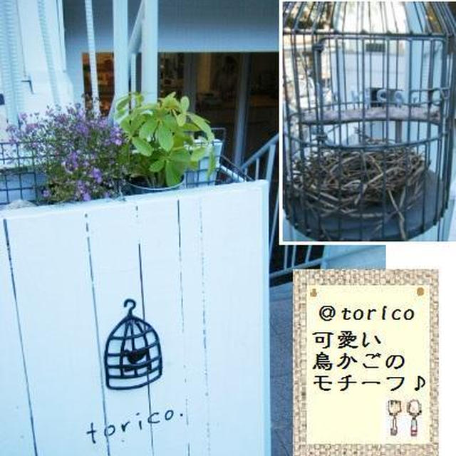 念願だったtoricoさん(ﾉ´▽｀)ﾉ