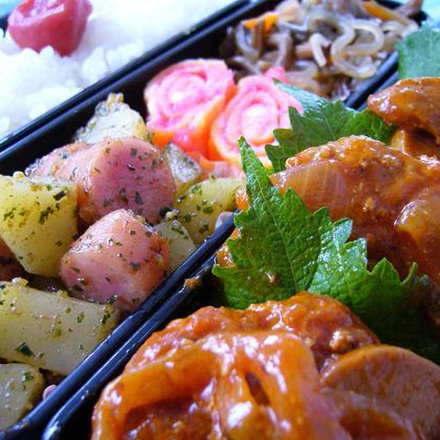 煮込みハンバーグ弁当～☆