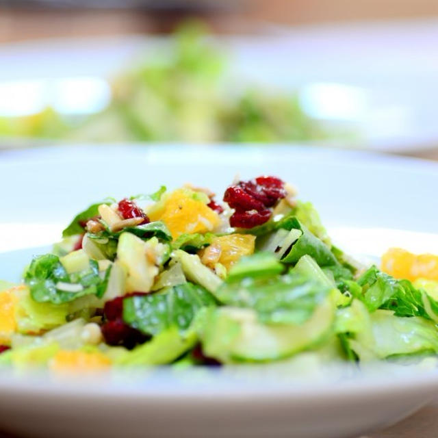 オレンジのガーデンサラダ (Garden Salad with Fresh Orange)