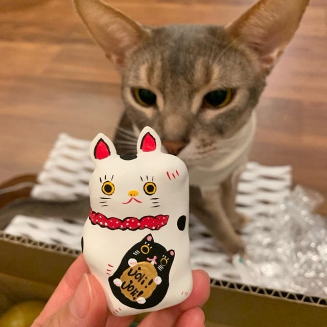 ちょとさんから、招き猫と梨が届く♪