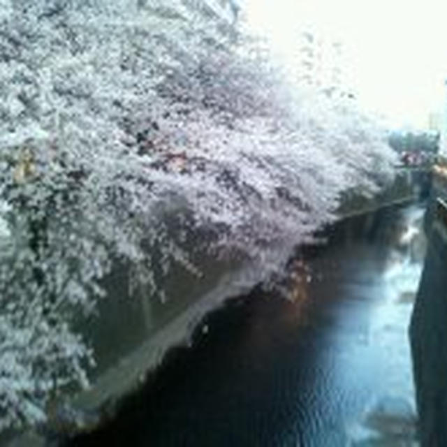 4月8日