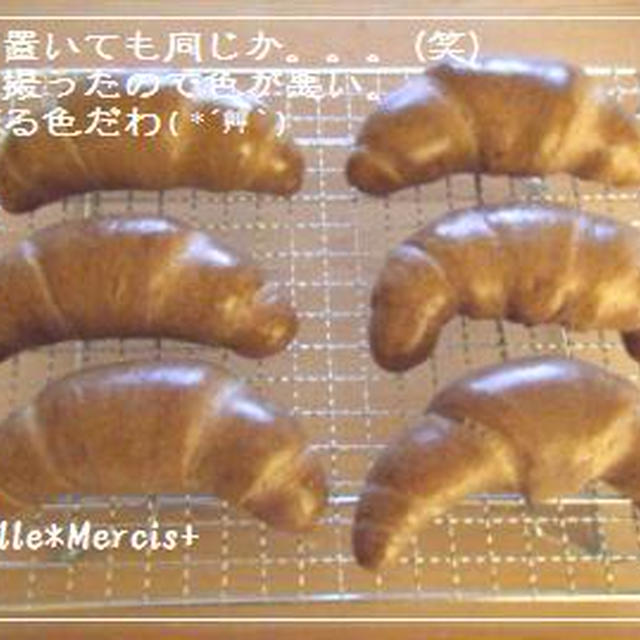 チョコ巻きＴロールパン＠あこ酵母