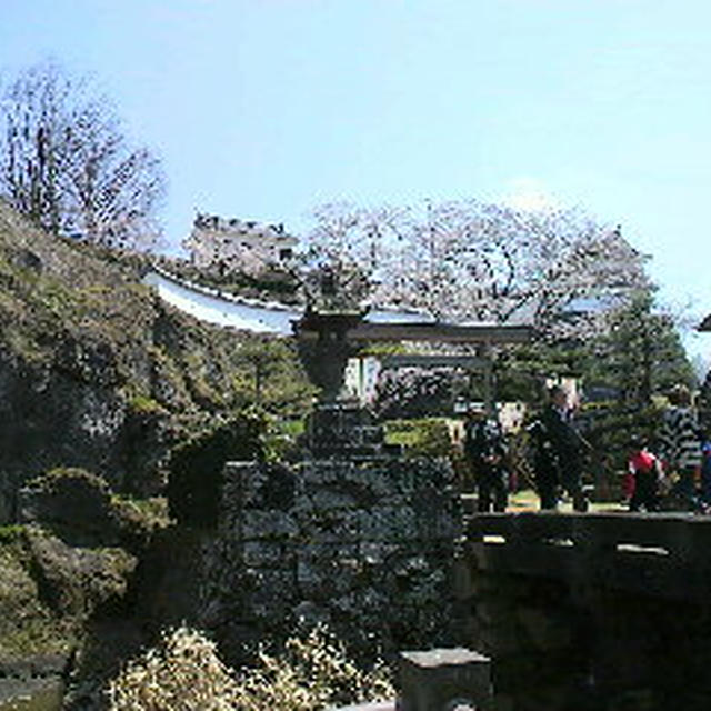 花見日和