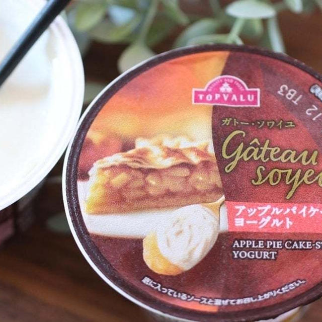 ヨーグルトを越えた！？【イオン】の「トップバリュ ガトーソワイユ」がリッチで満足感たっぷりですご