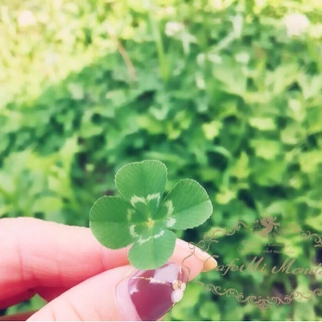 静岡県に２番目３番目の認定サロンさま♡