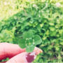 静岡県に２番目３番目の認定サロンさま♡