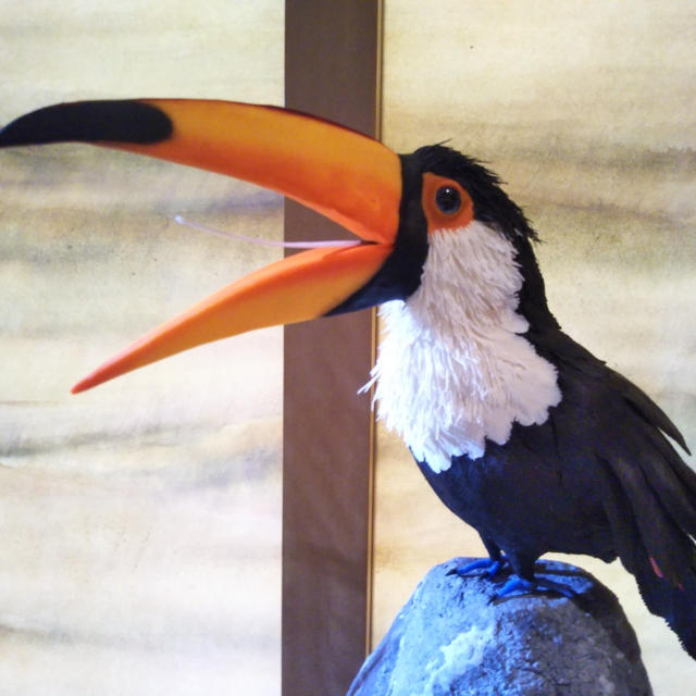 源 吉兆庵☆お菓子でつくる彩色の美　世界の花と鳥展に行きました