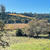 Sebastopol_Apple House_①