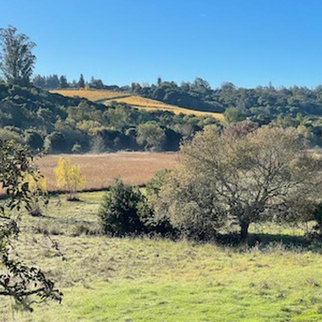 Sebastopol_Apple House_①