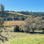 Sebastopol_Apple House_①