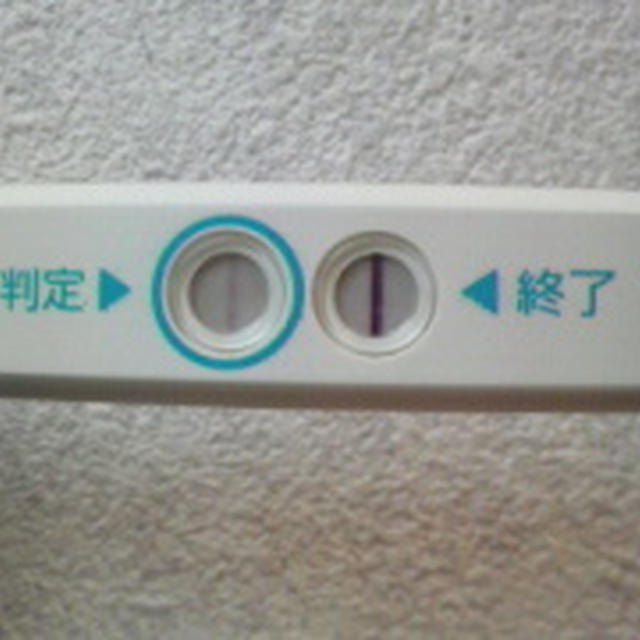 高温期14日目