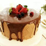 ハートクリームのチョコケーキ《WILTON Heart Tasty-Fill Panレシピ１》