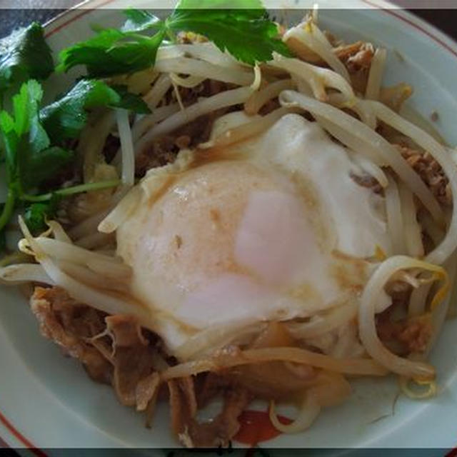 すき家の牛丼の具を使って…