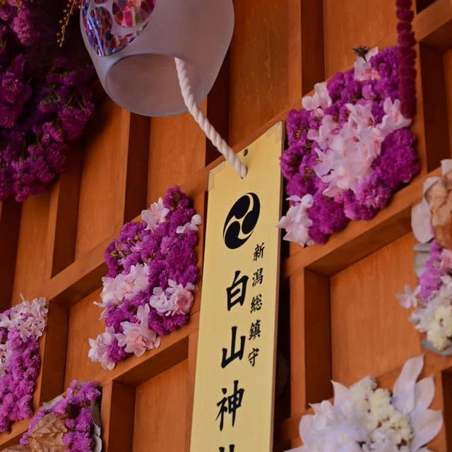 七夕ですね☆白山神社の風鈴祭り2024①