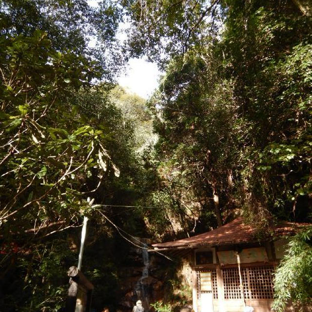 六甲山バリエーション～荒地山北尾根