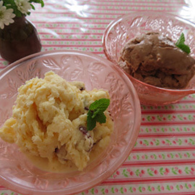 タカラ本みりん　チョコとクランベリーのアイス