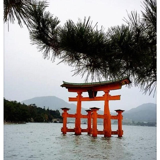宮島に行って来ました〜