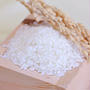 お米の正しい研ぎ方と下処理|【旨味を残してふっくら炊くためのコツ】