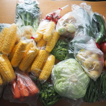 産直で5000円の野菜を爆買いする、節約ケチ子家